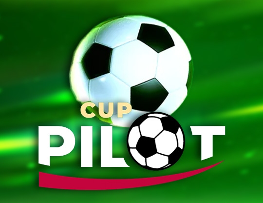 Pilot Cup